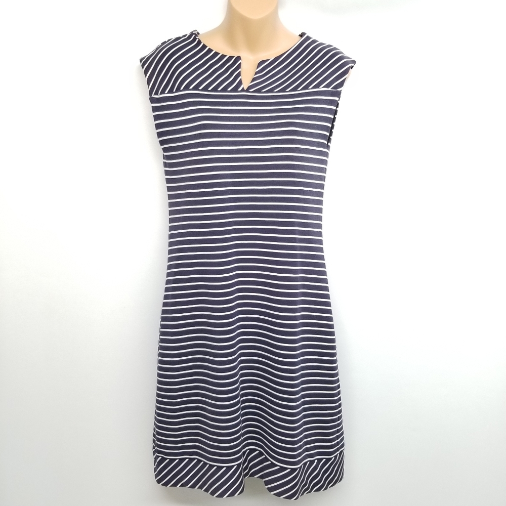 Banana Republic Navy & White Striped Sheath Dress